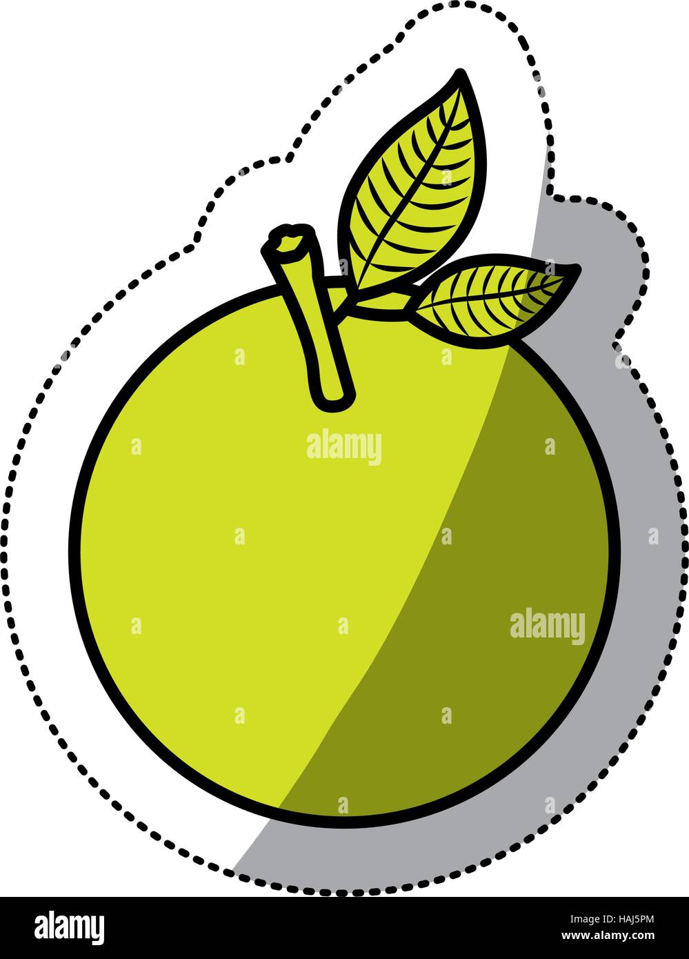 Isolated orange fruit design Stock Vector Image & Art - Alamy
