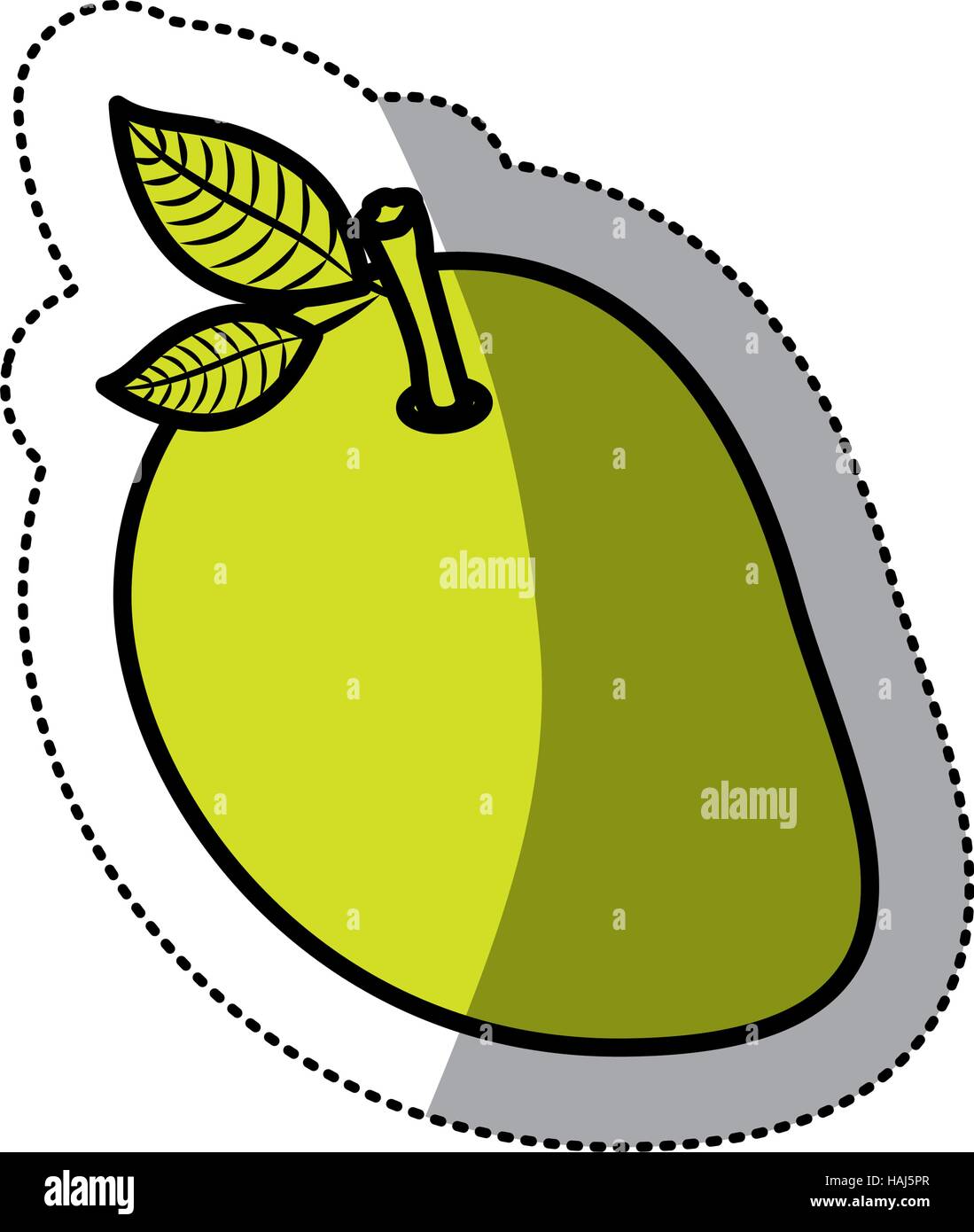 Isolated mango fruit design Stock Vector Image & Art Alamy