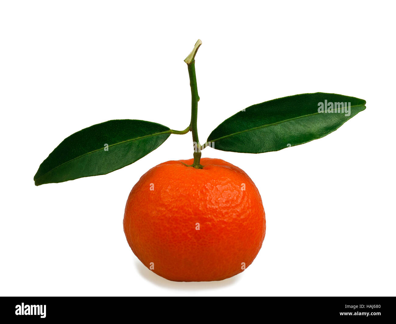 Clementine whit leaf isolated on white Stock Photo