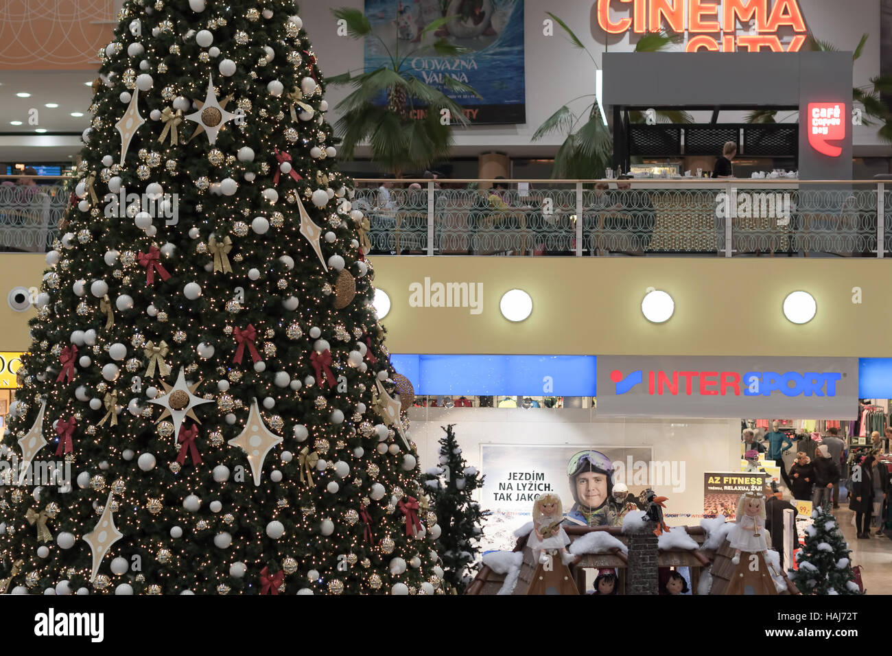 City of olympia christmas tree pickup 2022