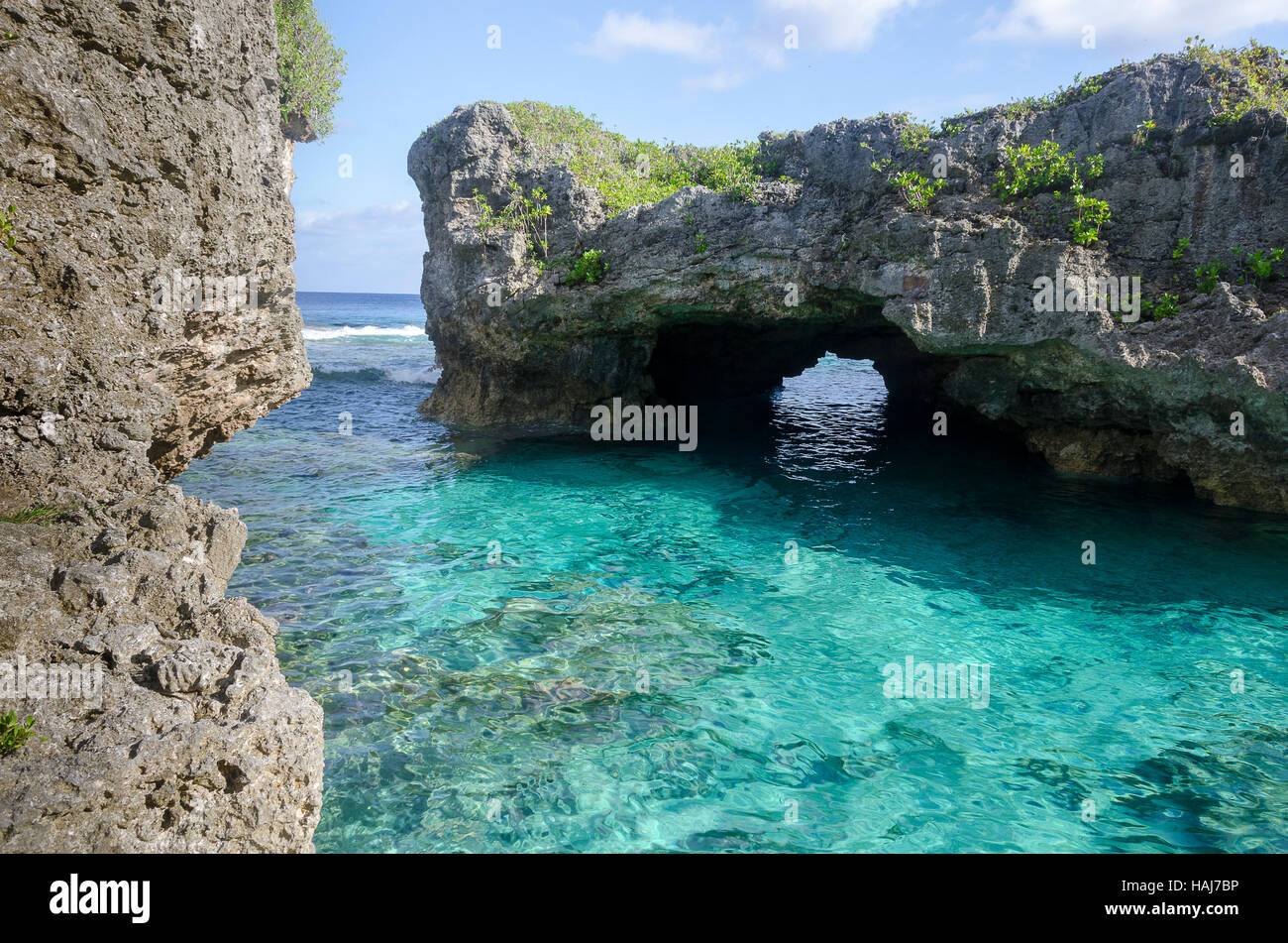Coral formations hires stock photography and images Alamy