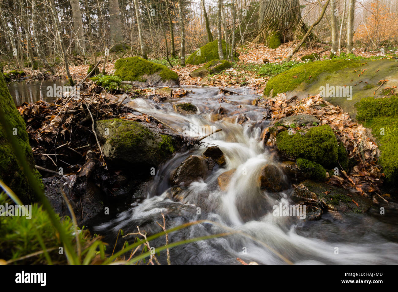 Water flowing in this spring stream with long exposure Stock Photo
