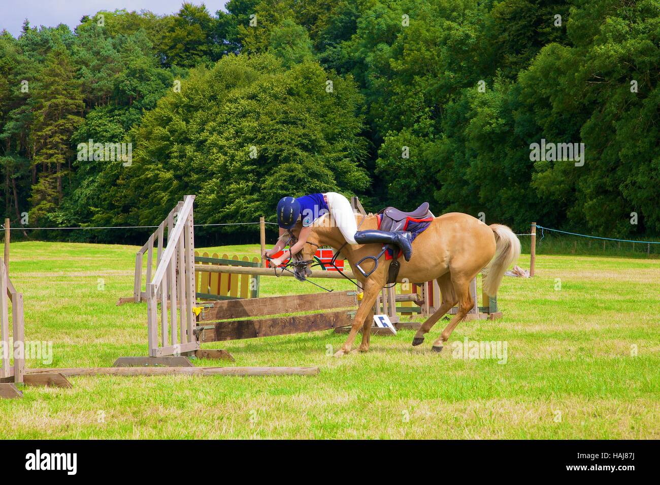 Girl riding a horse show jumping a fence. Brougham Hall, Penrith