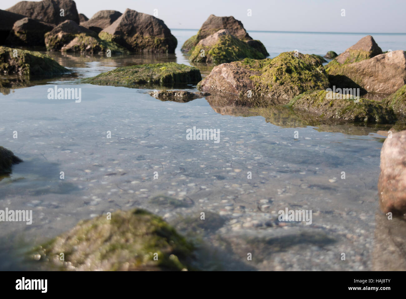 View of rocky shore, summer, sea idea Stock Photo - Alamy