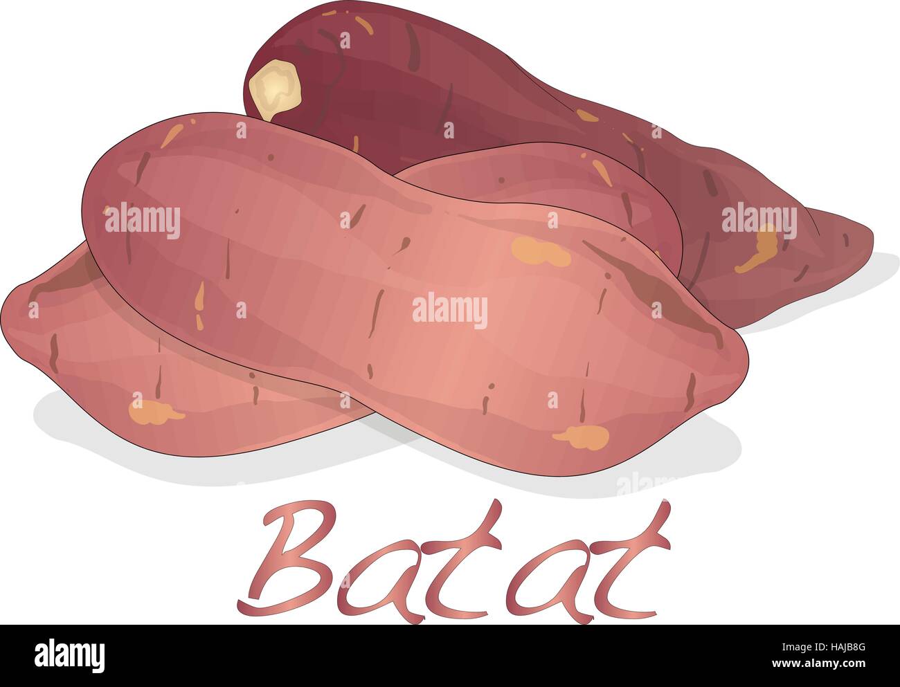 Free Free 72 Sweet Potato Svg SVG PNG EPS DXF File