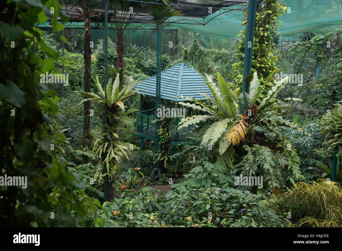Kuala Lumpur Butterfly Park. Jalan Cenderasari, Kuala Lumpur, Malaysia