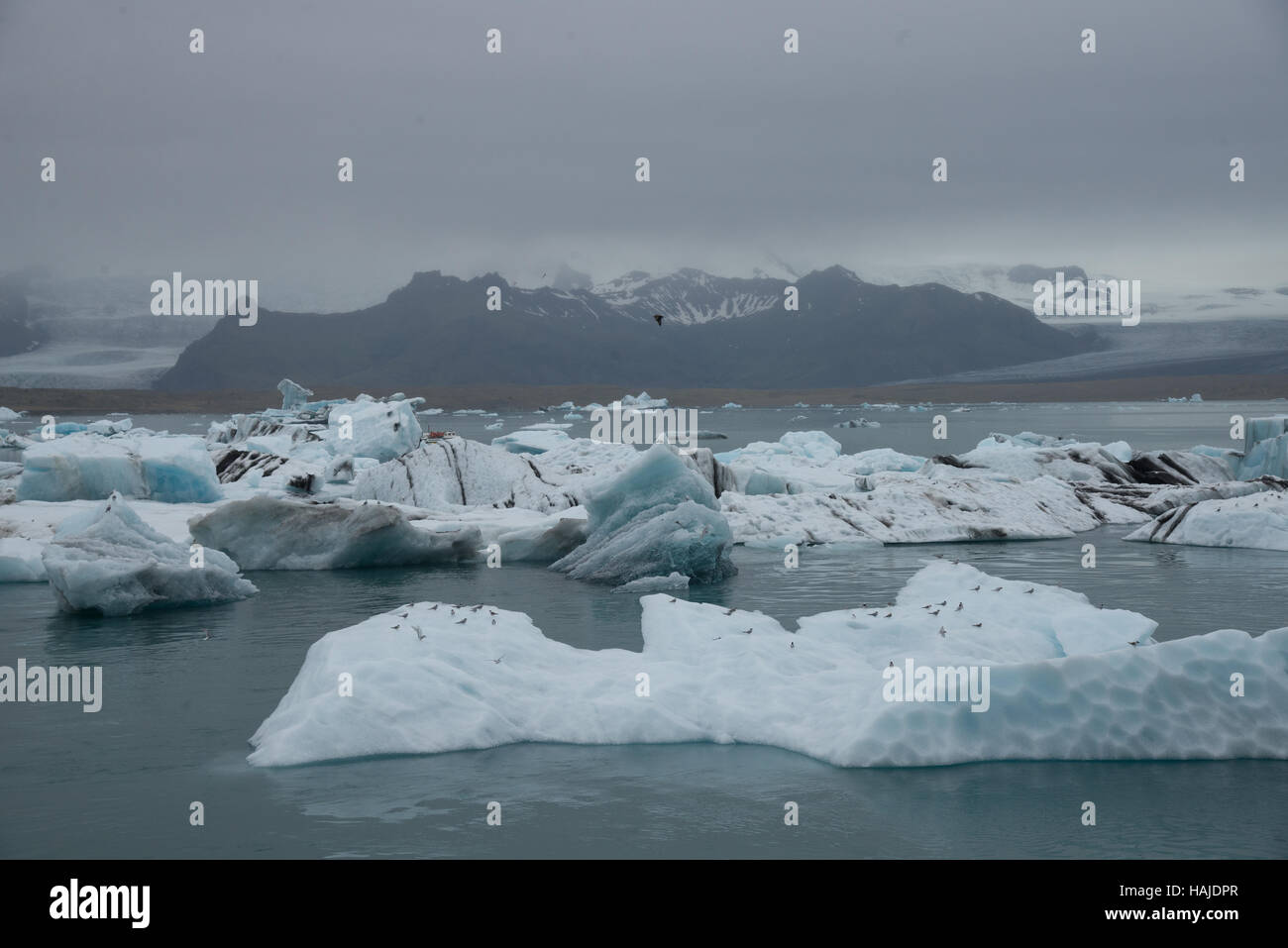 jokulsarlon glacier lake in iceland Stock Photo Alamy