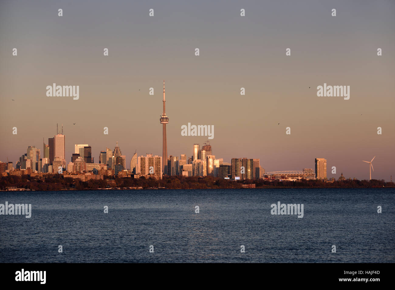 Golden light on downtown Toronto skyline at sundown from Humber Bay Park Stock Photo