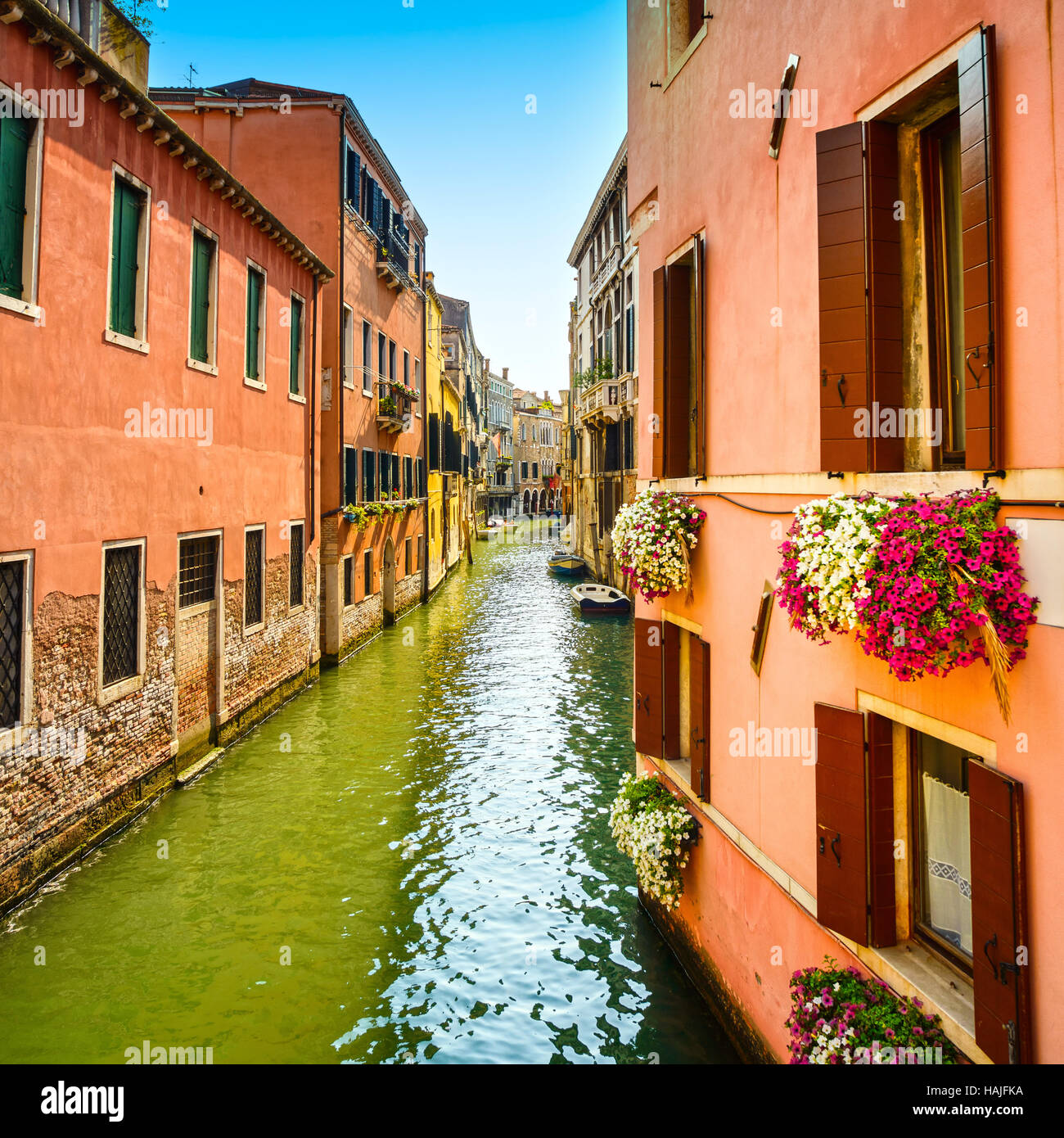 Venice cityscape, Cannaregio water canal, flowers, building and boats. Italy, Europe. Stock Photo