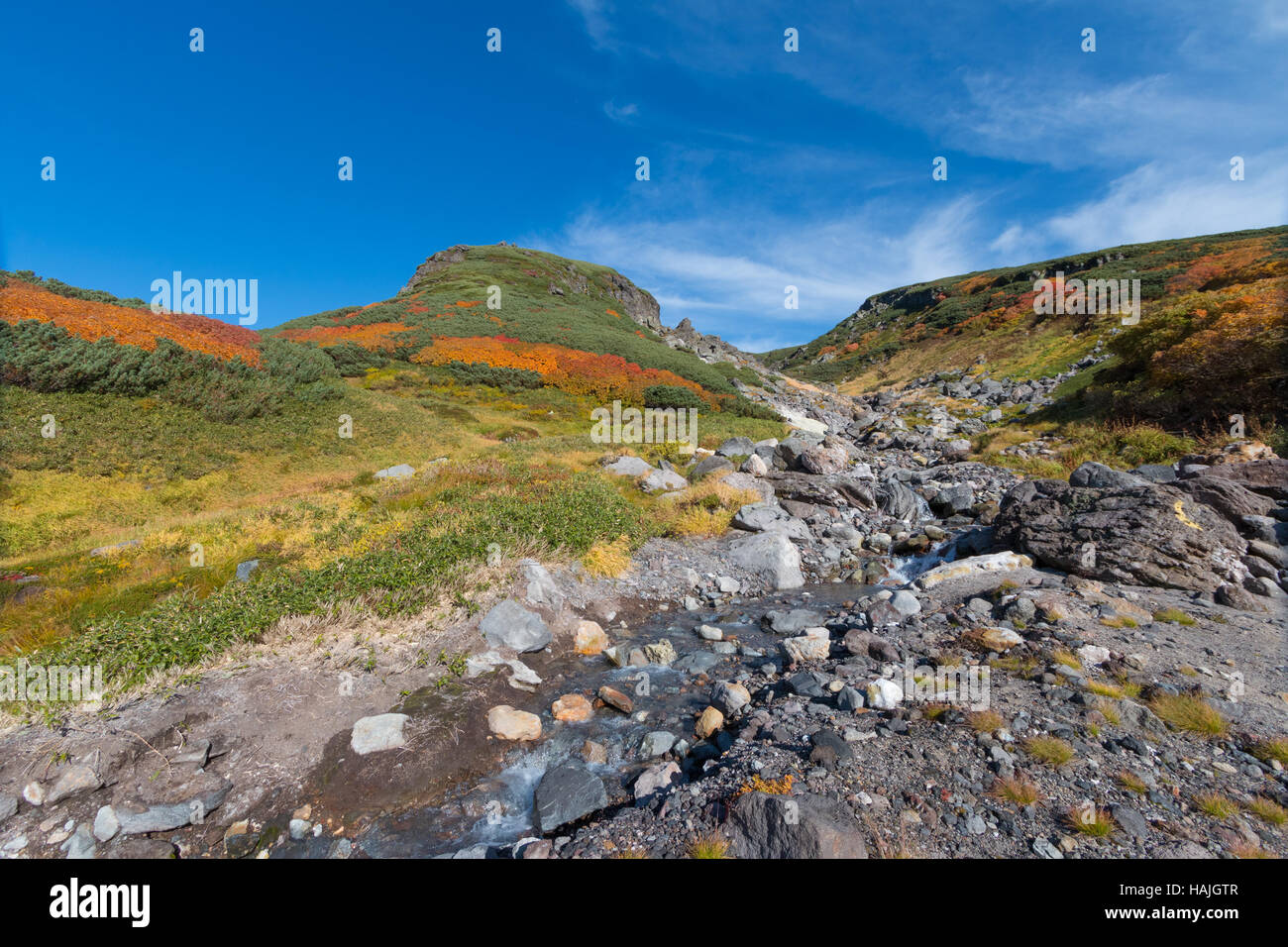 Harsh Colors High Resolution Stock Photography and Images - Alamy