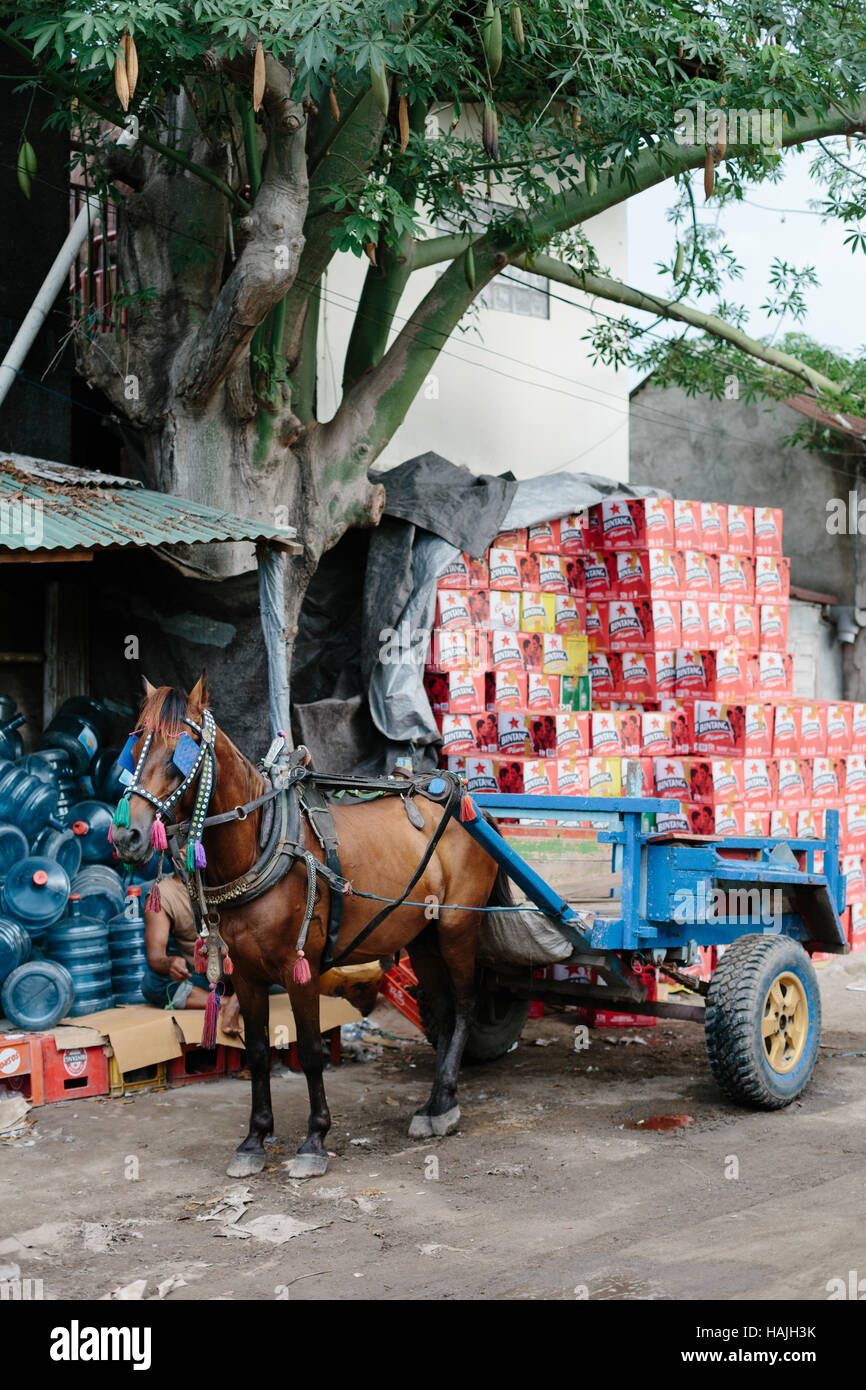 A horse and cart parked by a stack of boxes of bintang beer and recycled water bottles in Gili Trawangan. Stock Photo