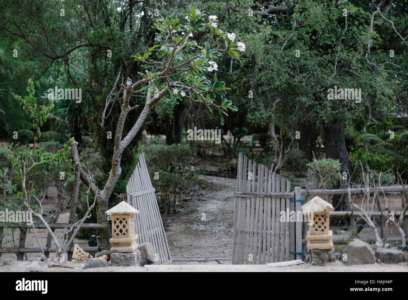A bamboo gate to a garden in Gili Trawangan Stock Photo