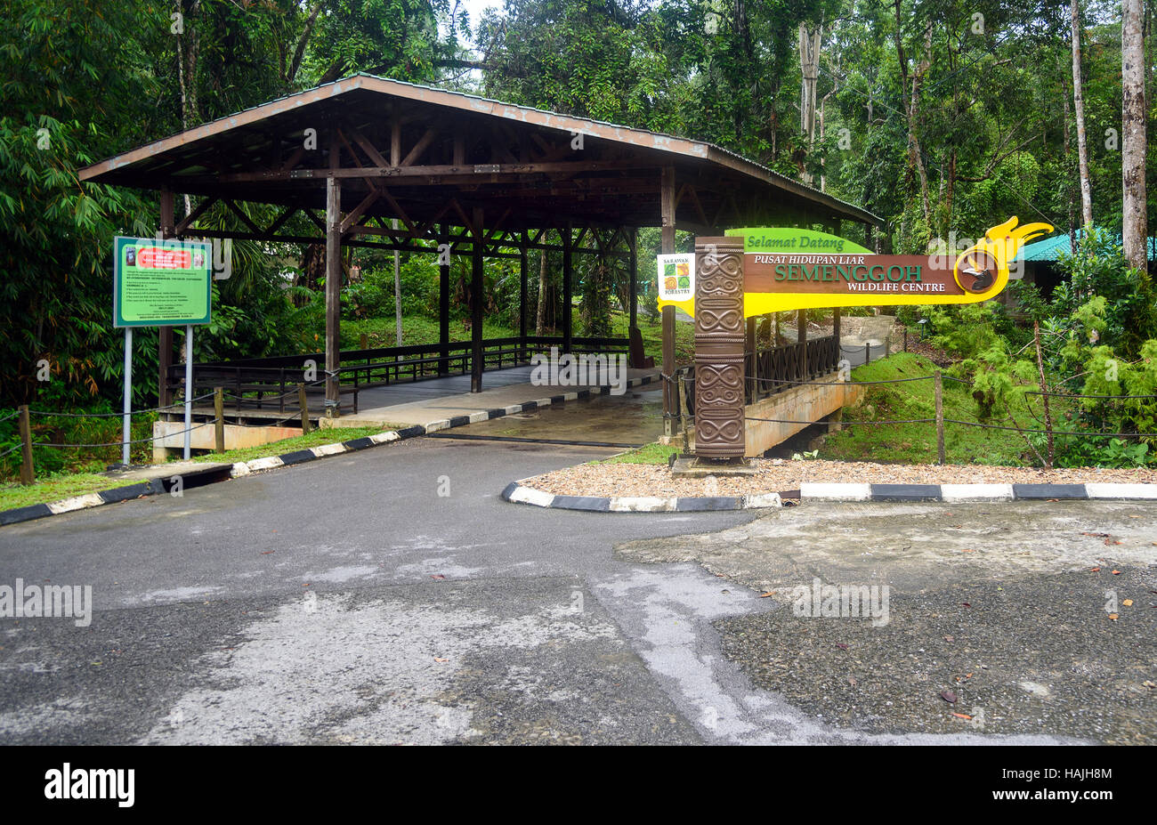 Semenggoh Nature Reserve Was Established In 1975 To Care For Wild ...