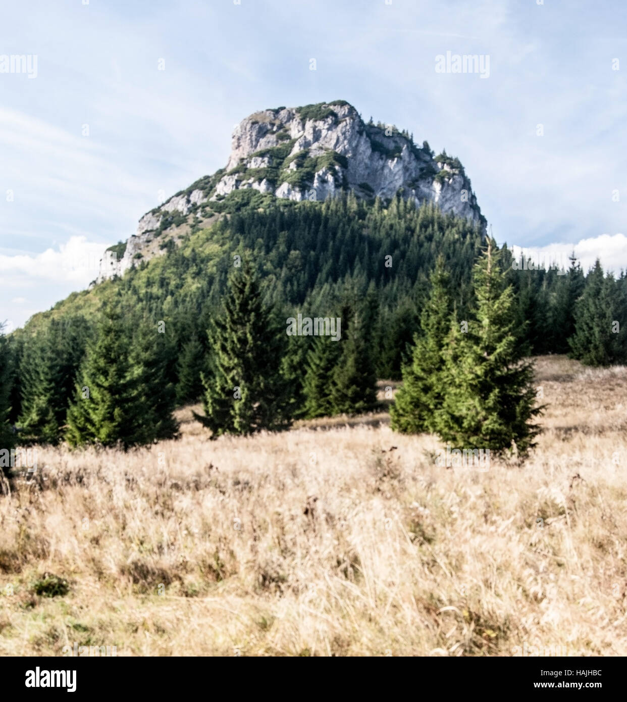 Sedlo medzirozsutce hi-res stock photography and images - Alamy