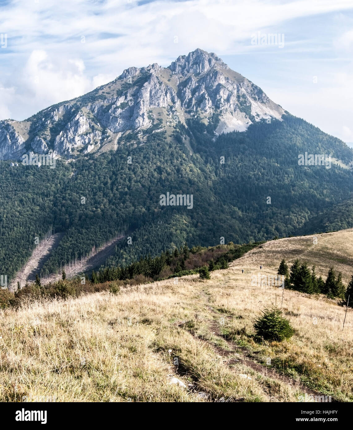 rocky dolomitian Velky Rozsutec hill from Poludnovy grun hill with mountain meadow in autumn Mala Fatra mountains in Slovakia Stock Photo