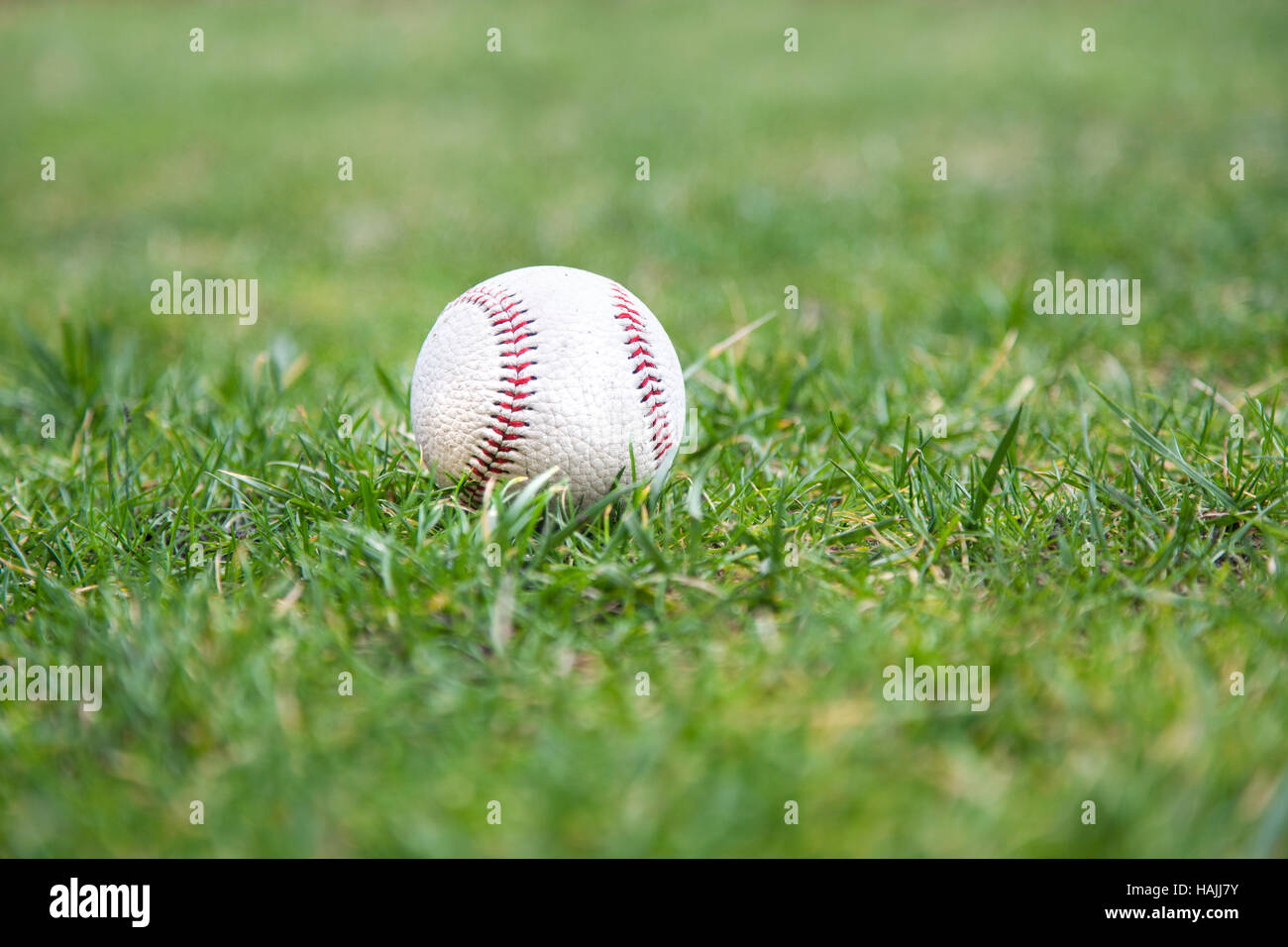 Baseball equipment on grass hi-res stock photography and images - Alamy