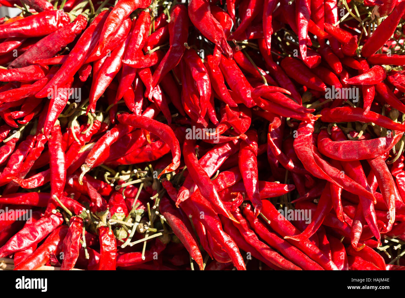 Background red chili peppers in a bunch in the sunlight Stock Photo - Alamy