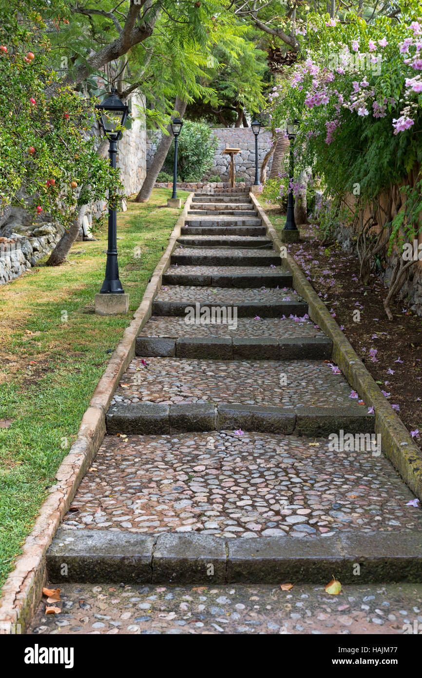 Stairs of stone blocks in the greenery Stock Photo