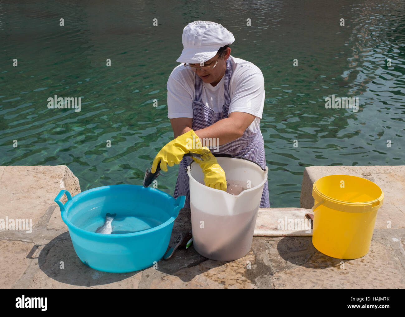 Woman cleaning fresh fish at the waterfront in Veli Losinj, Kvarner Gulf,Croatia. Stock Photo
