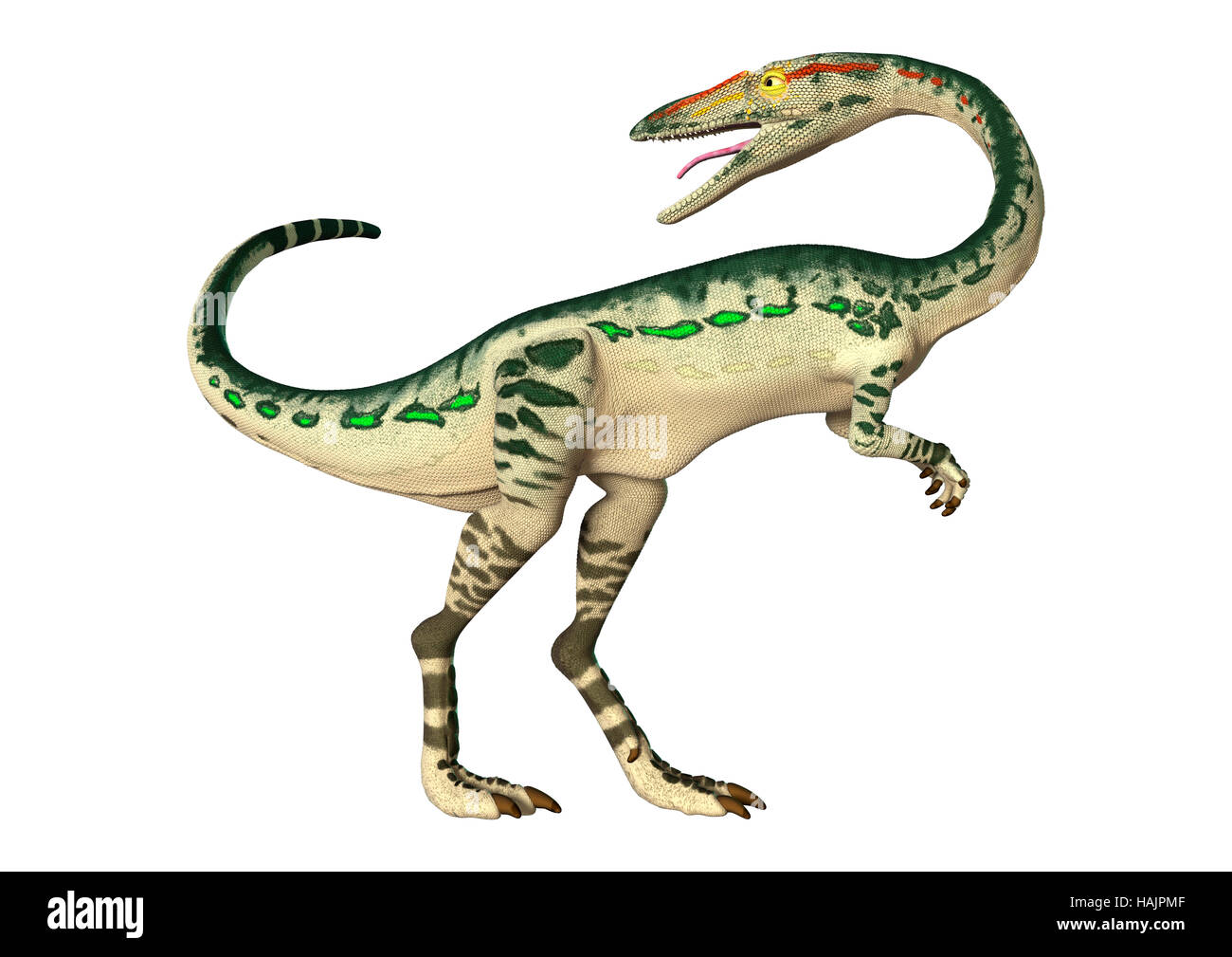 3D rendering of a dinosaur Coelophysis isolated on white background Stock Photo