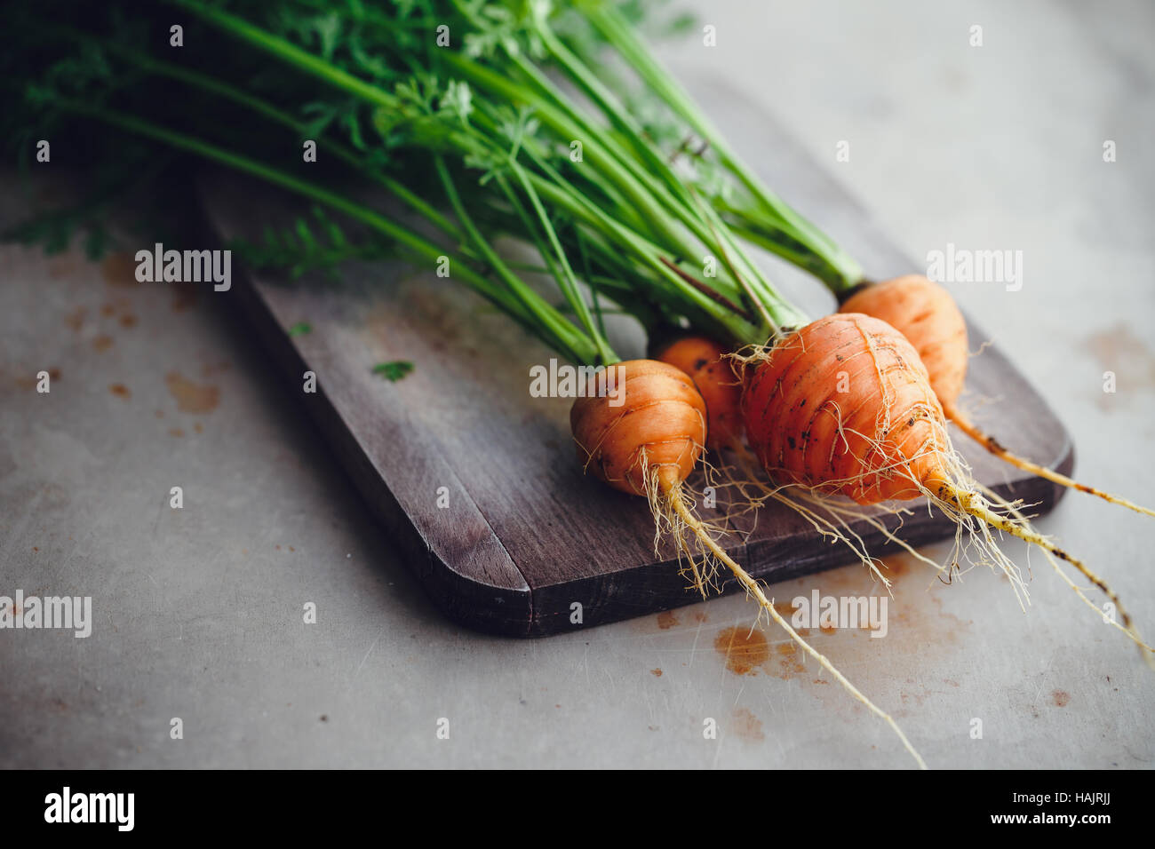 Bunch of small, round carrots (Parisian Heirloom Carrots). A bunch of carrots and leafy tops on a wooden board Stock Photo