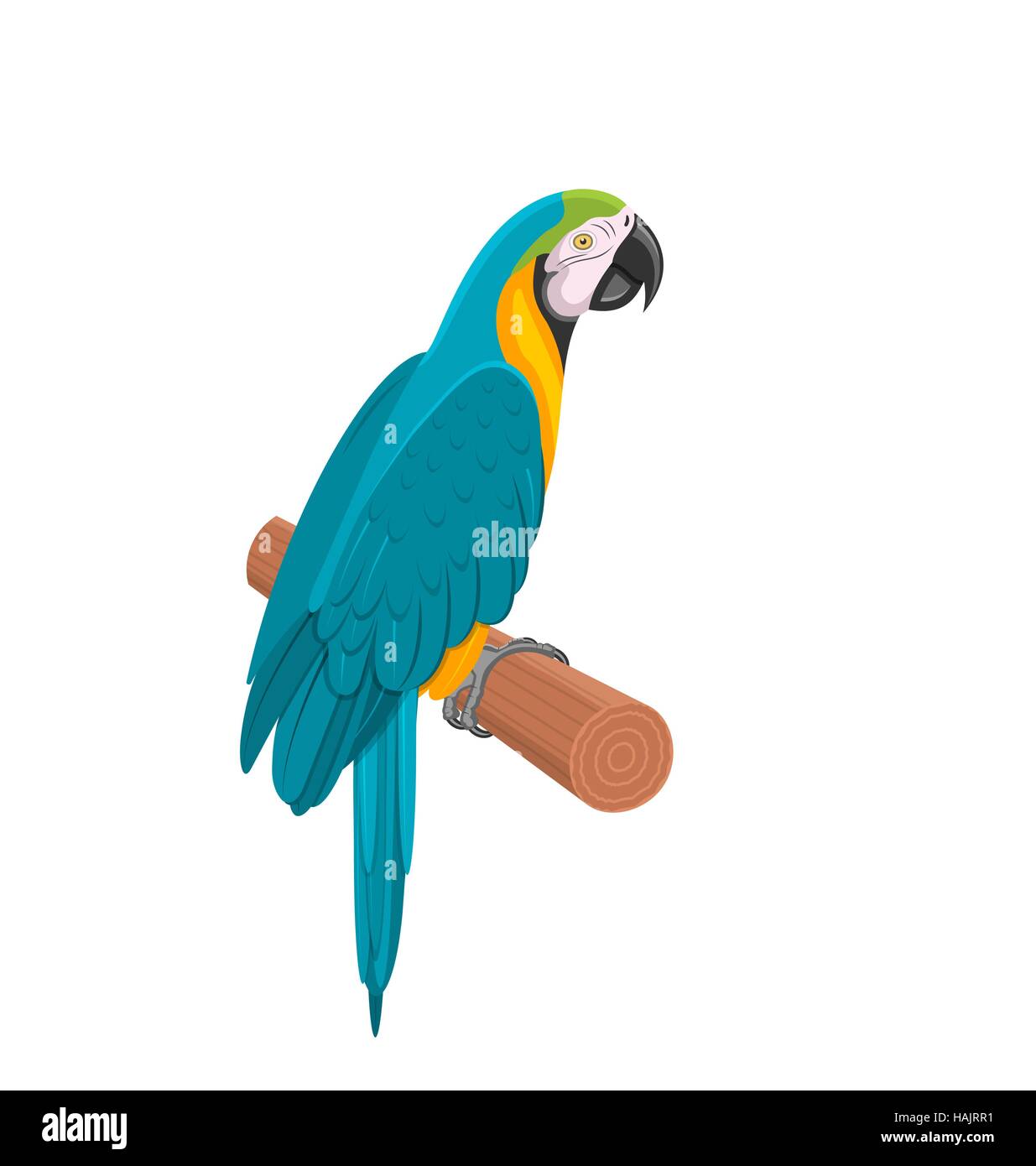 Pretty Blue Parrot Ara on Branch. Bird Isolated on White Background Stock Vector