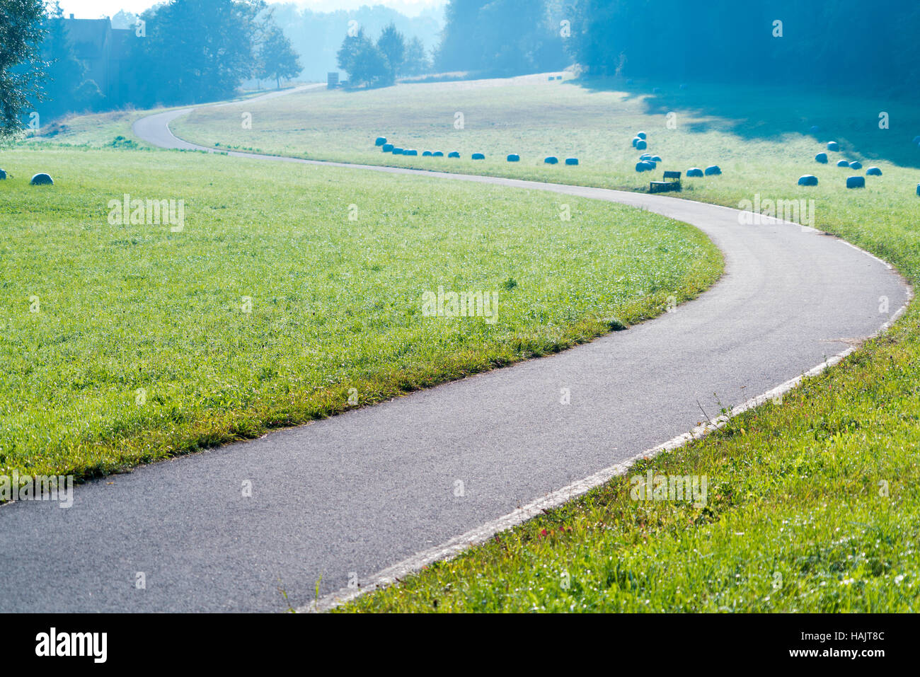 Twisting road on green meadow in the early morning Stock Photo