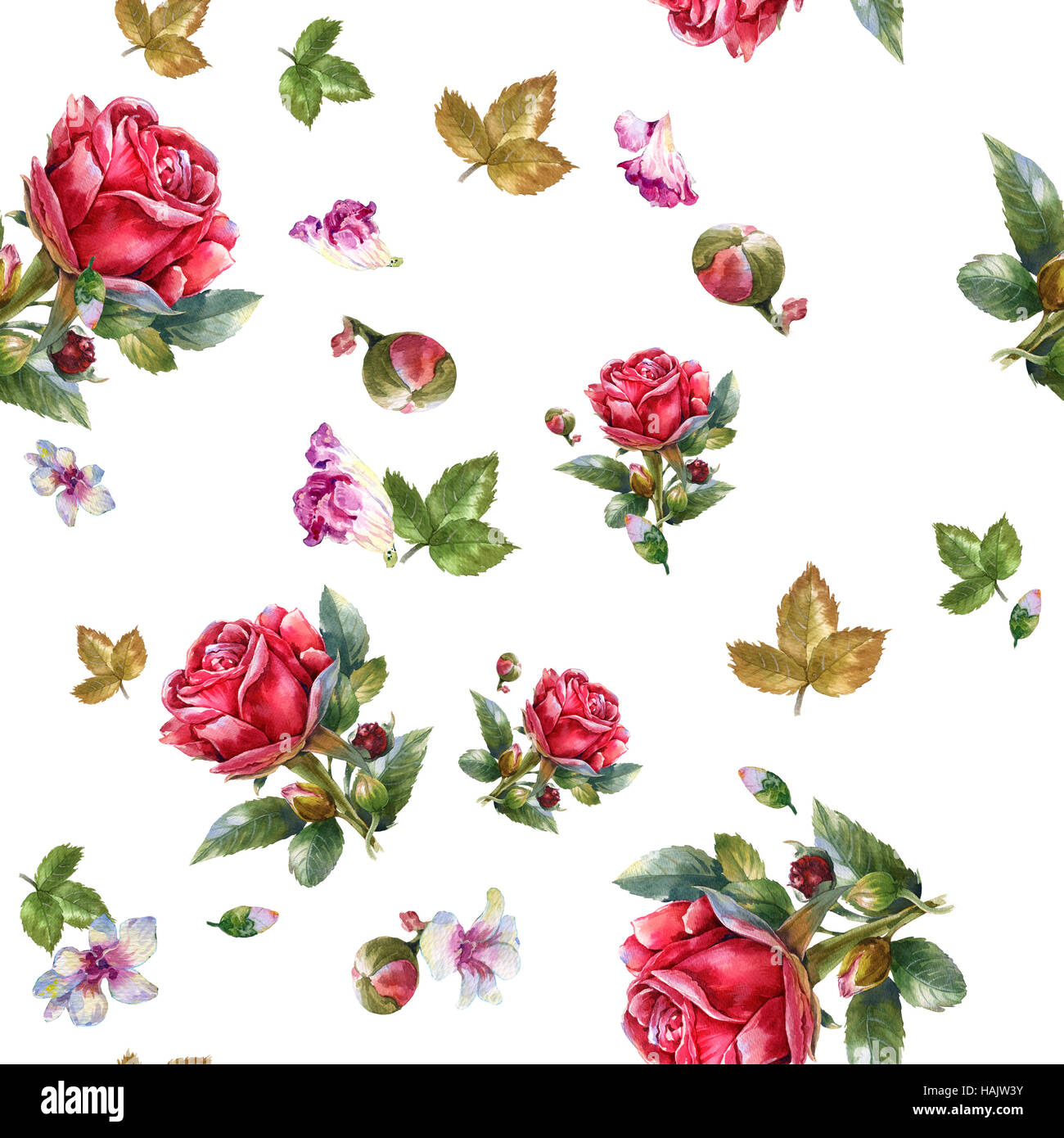 Watercolor painting illustration of Red rose , seamless pattern on ...