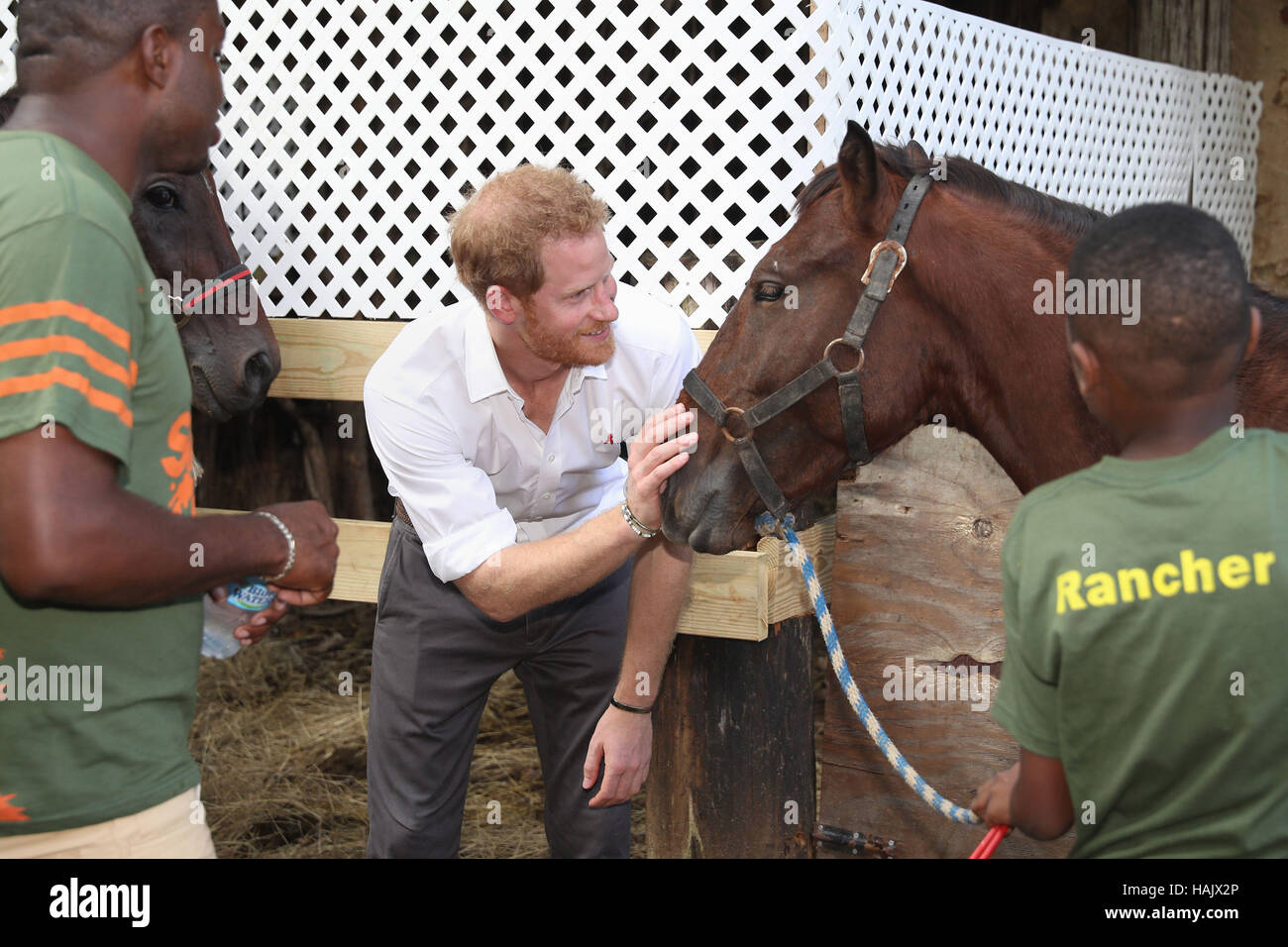 Prince Harry pets a horse at 'Nature Fun Ranch', which allows young people to speak freely with one another about important topics, including HIV/AIDS, providing them with a positive focus to guide their lives in the right direction, during his tour of the Caribbean. Stock Photo