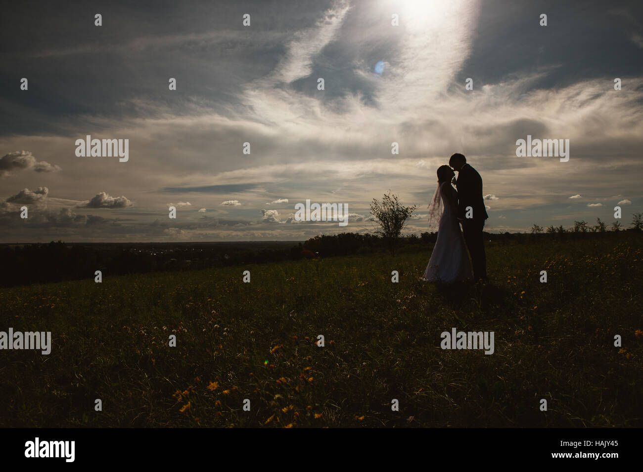 silhouettes of bride and groom on the background field and sky Stock ...