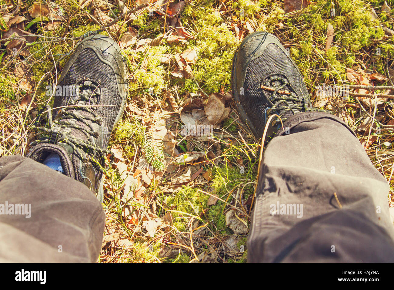 closeup of hiker legs in the woods Stock Photo