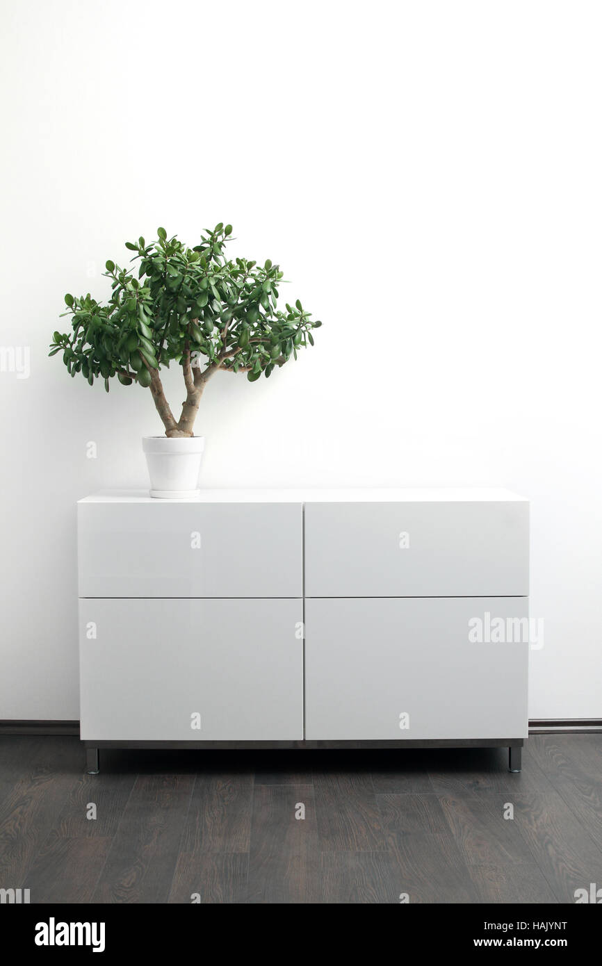 white chest of drawers with flower pot in bright interior Stock Photo