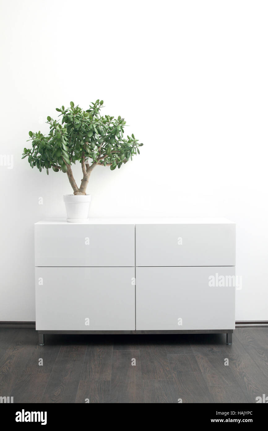 white chest of drawers with flower pot in bright interior Stock Photo