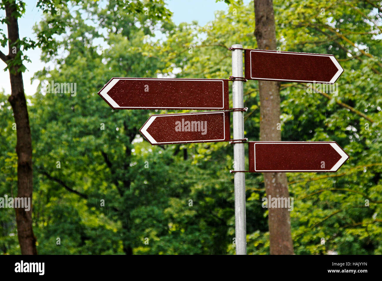 blank way direction signs on green tree background Stock Photo