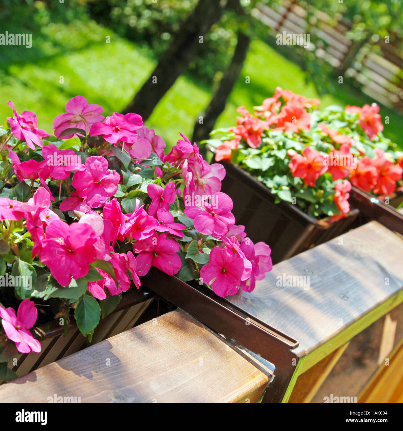 balcony flower boxes filled with flowers Stock Photo