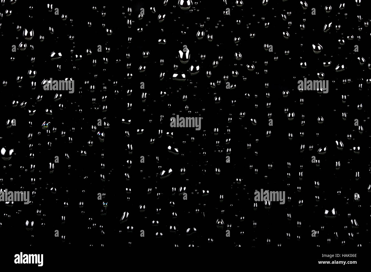 water drops on black Stock Photo