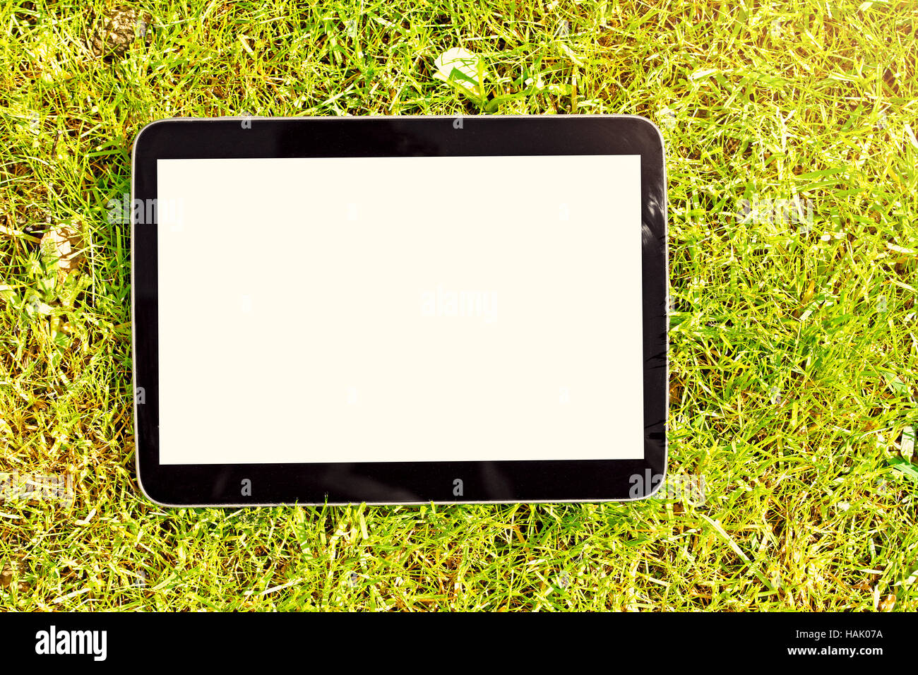 blank digital tablet lying on green grass Stock Photo