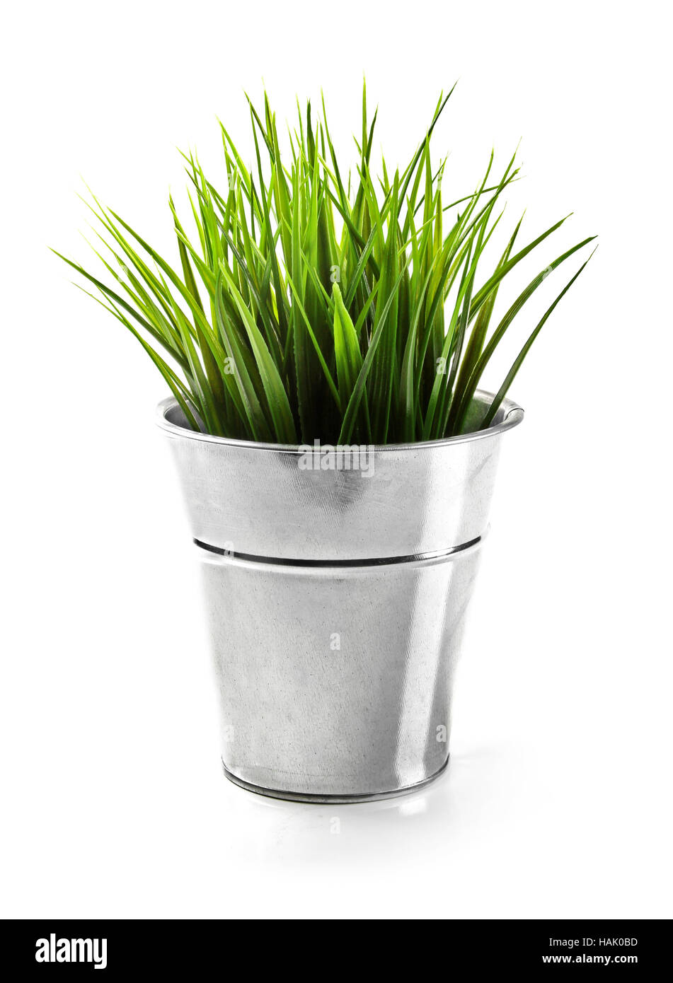 green grass in metal bucket isolated on white Stock Photo
