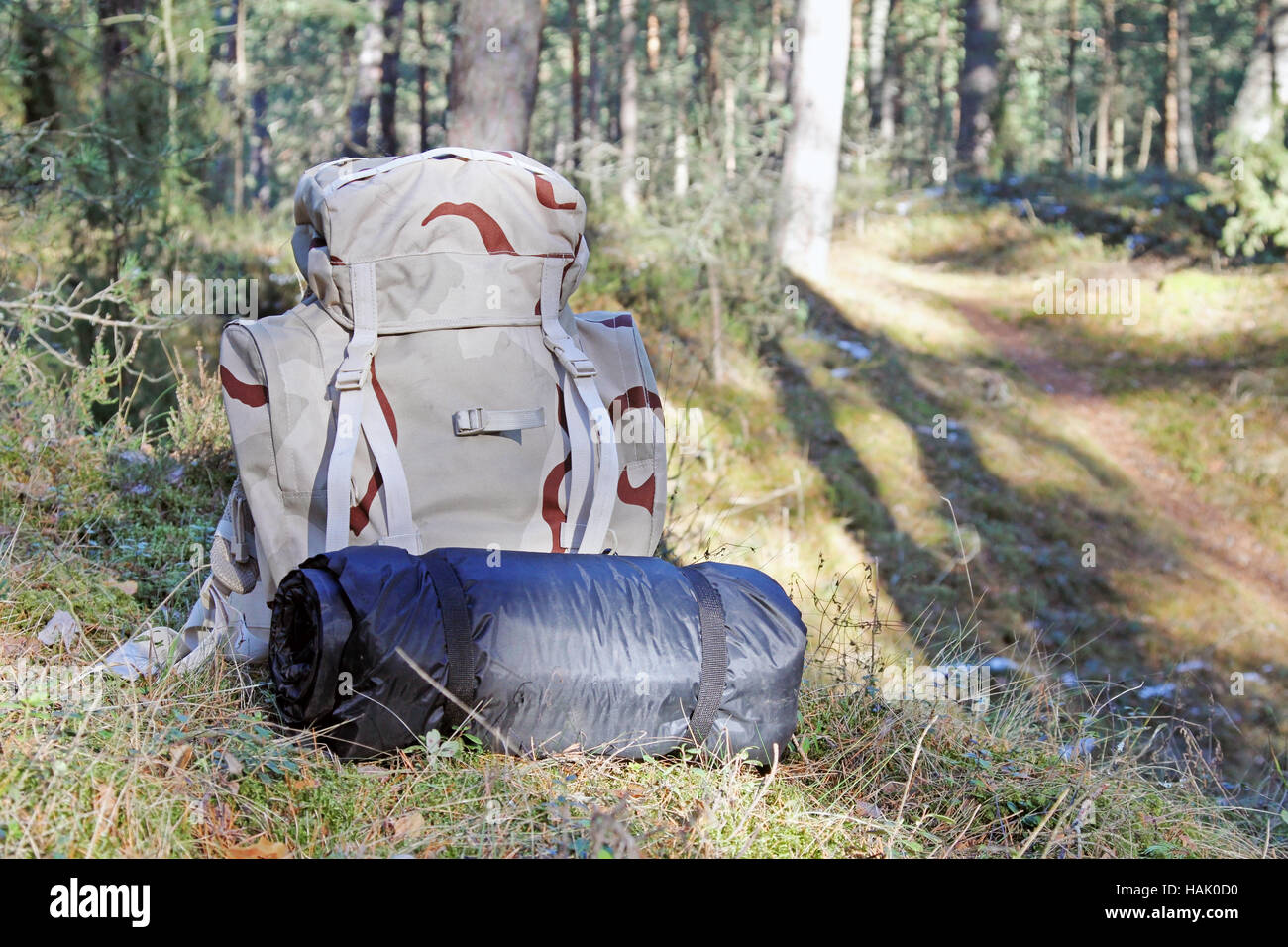 hiking - backpack with camping equipment in woods Stock Photo