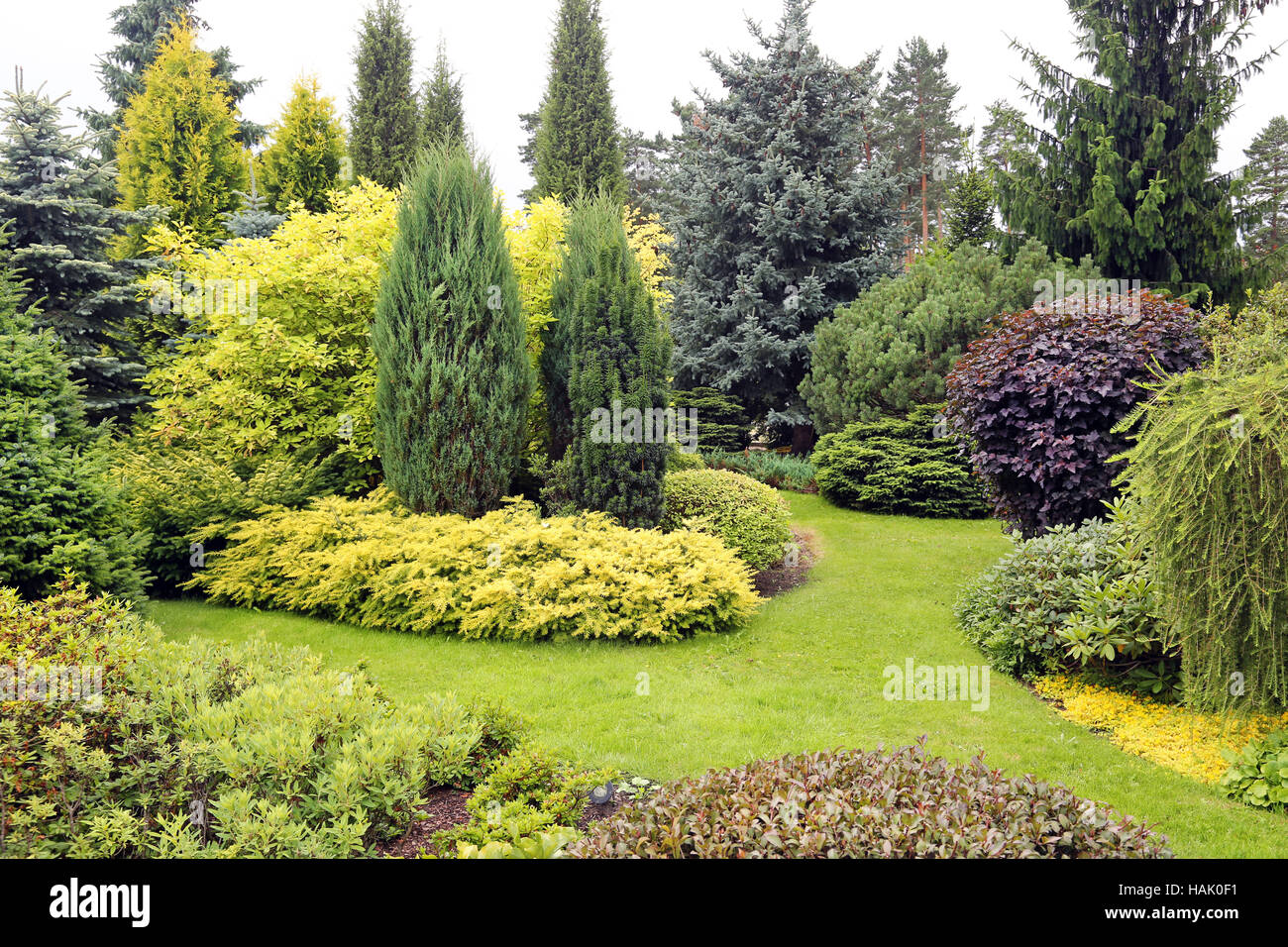 beautiful garden landscape with variety of conifers and other plants Stock Photo