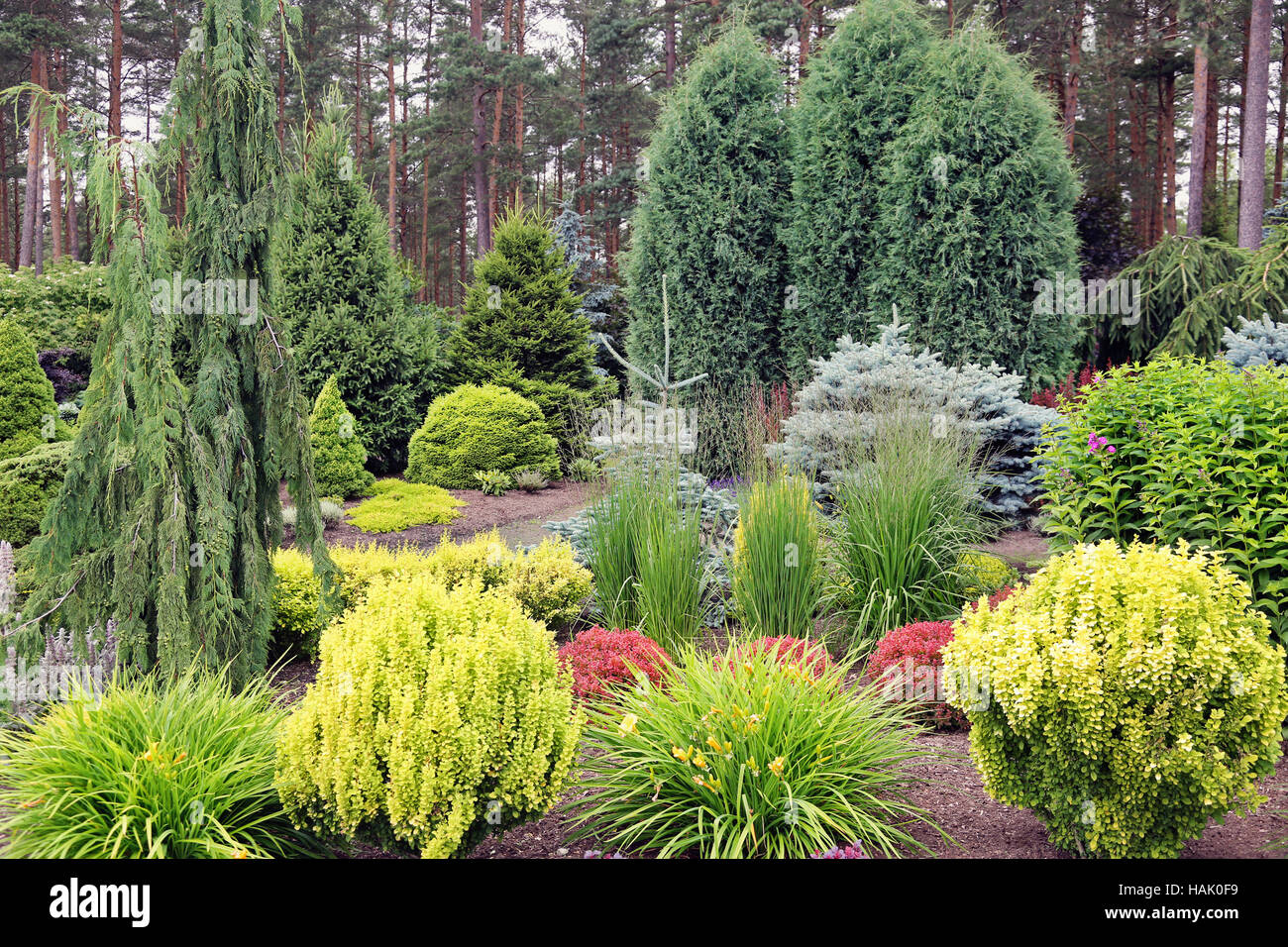 design garden landscape with mix of plants Stock Photo