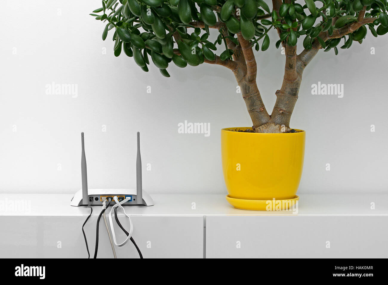 internet router and flower pot on white shelf in bright interior Stock Photo