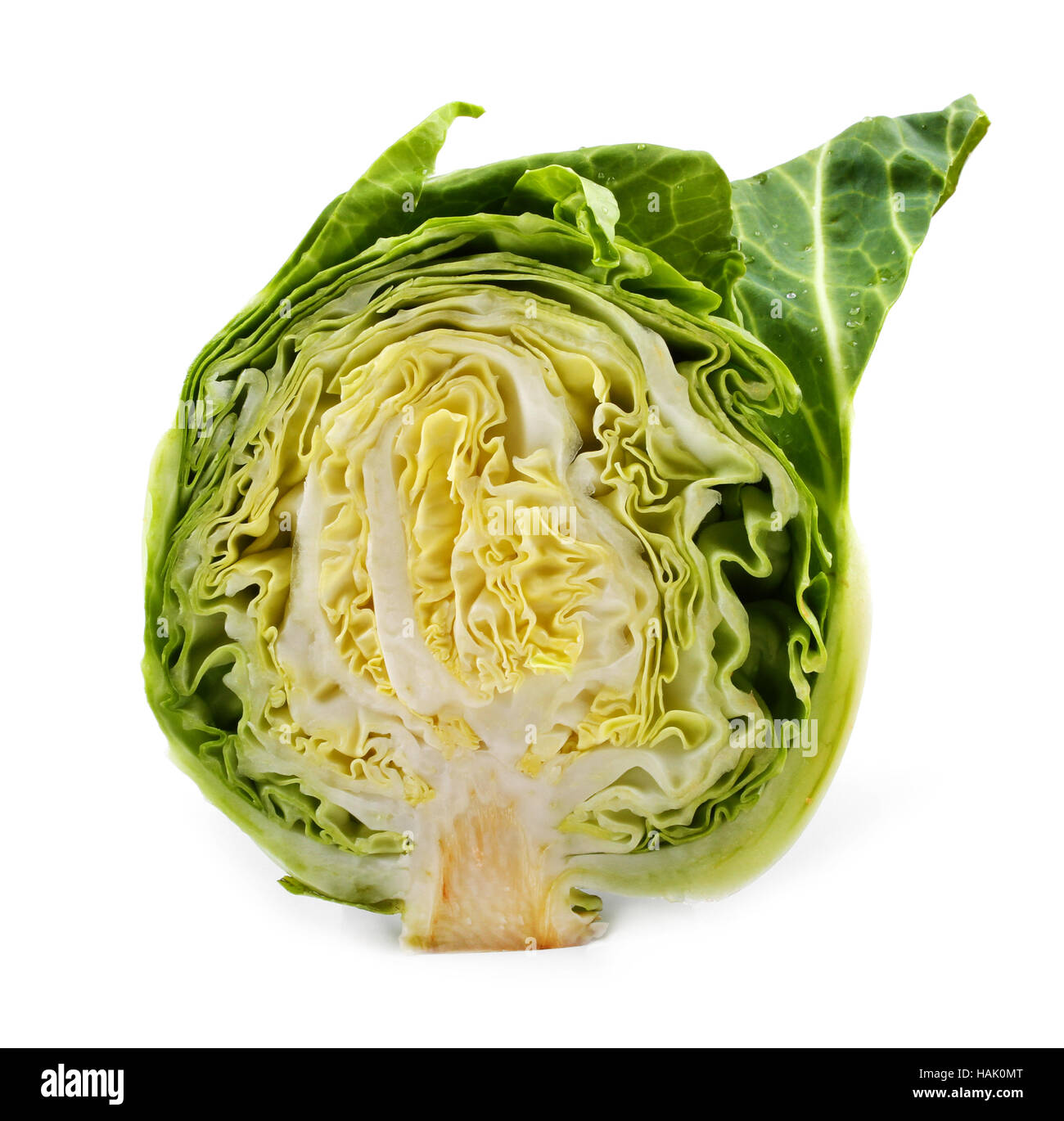cabbage isolated on white background Stock Photo