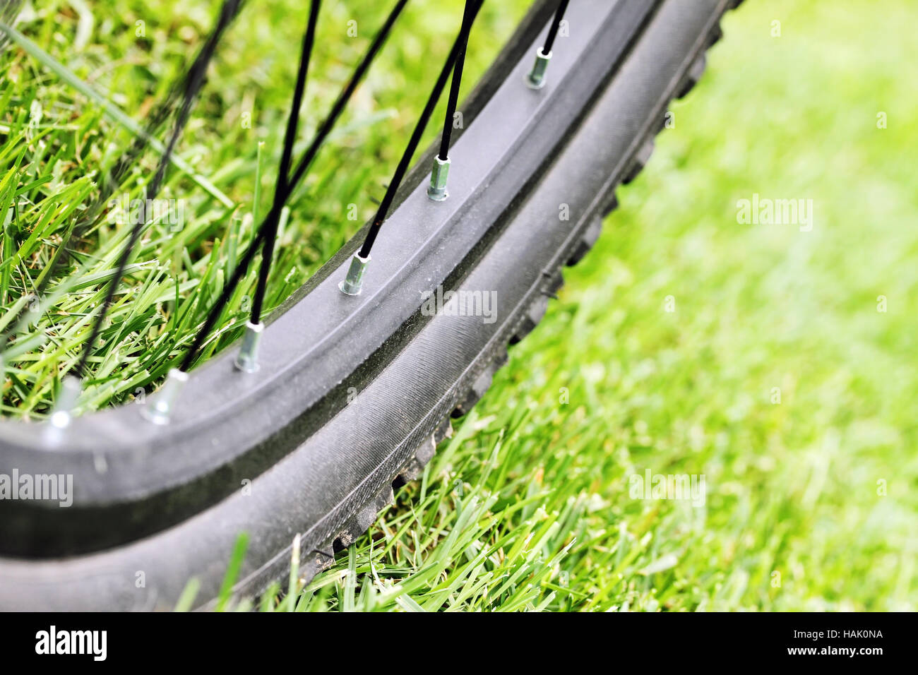 close up of bicycle wheel on green grass in sun light Stock Photo