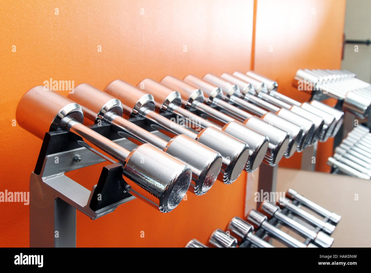 stand with dumbbells in gym Stock Photo