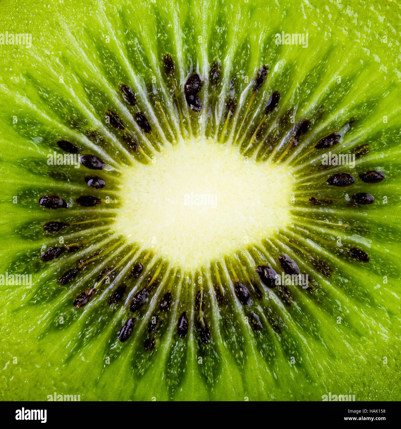 macro shot of a kiwi slice Stock Photo