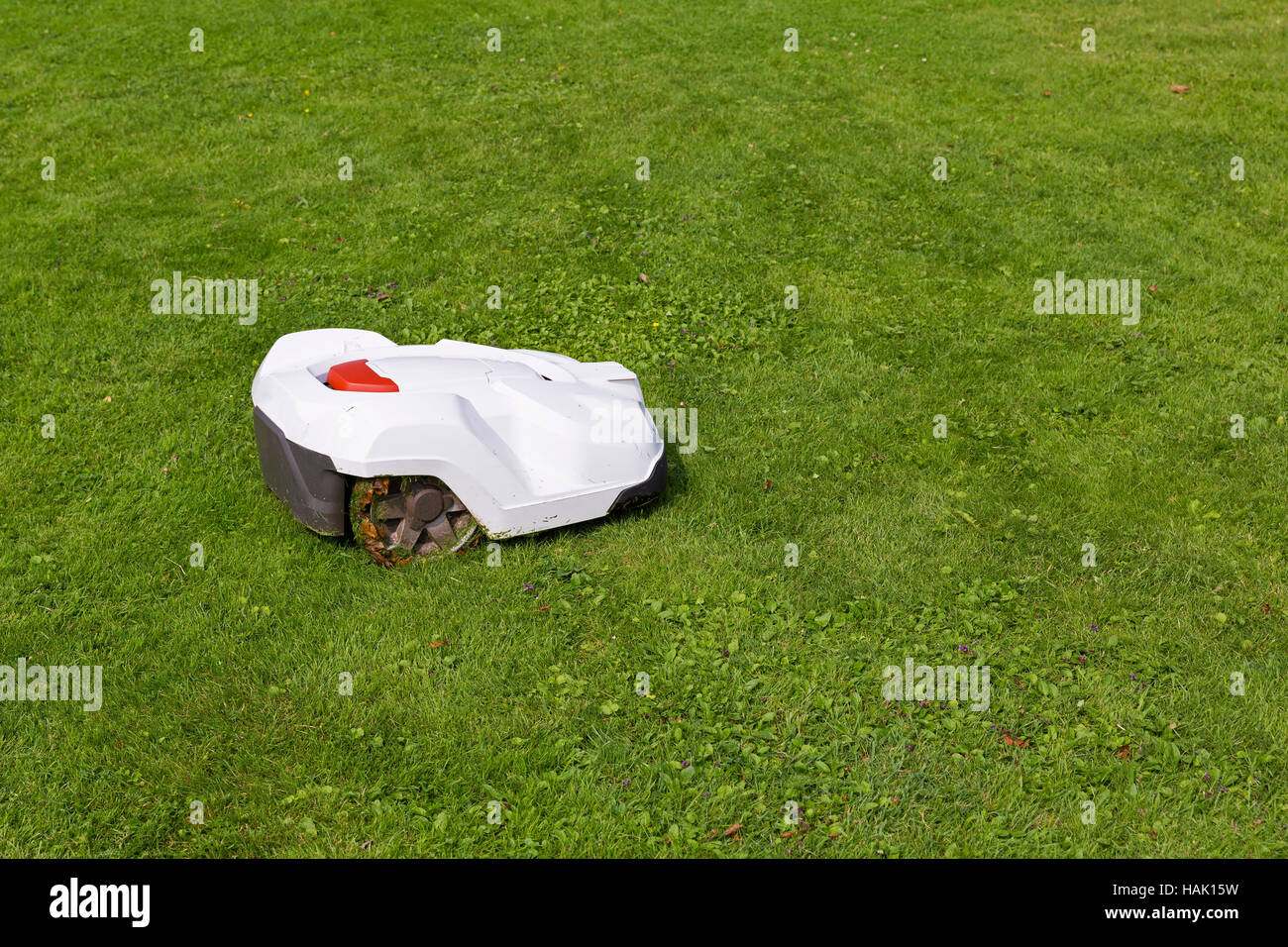 robotic lawn mower working on green grass Stock Photo