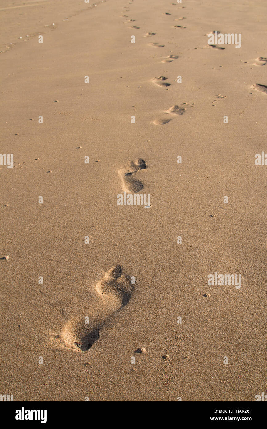 Yellow sand in the morning sunlight with fresh footprints. Stock Photo