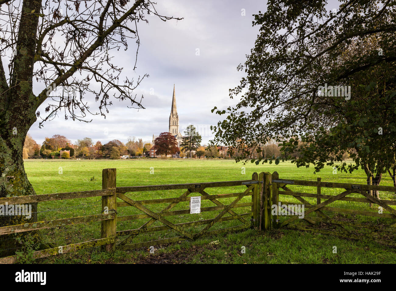 Salisbury cathedral from across the west Harnham water meadows Stock