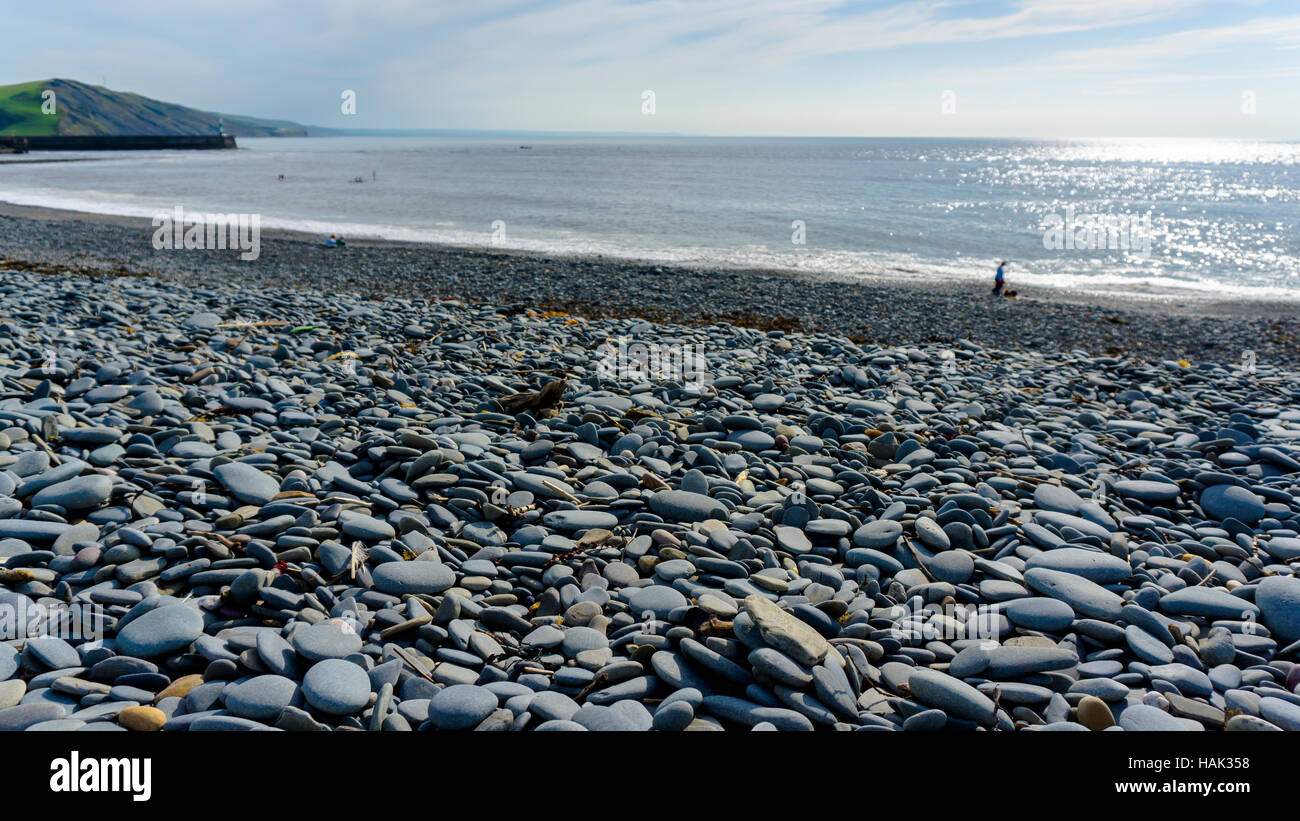 Aberystwyth Castle ruins on the edge of the sea Stock Photo